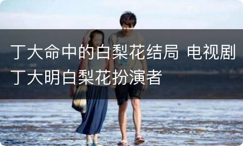 丁大命中的白梨花结局 电视剧丁大明白梨花扮演者