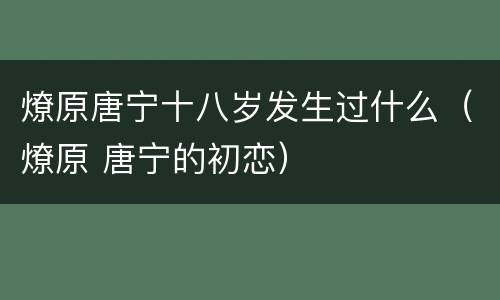 燎原唐宁十八岁发生过什么（燎原 唐宁的初恋）