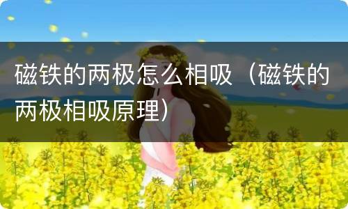 磁铁的两极怎么相吸（磁铁的两极相吸原理）