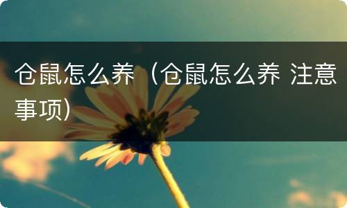 仓鼠怎么养（仓鼠怎么养 注意事项）