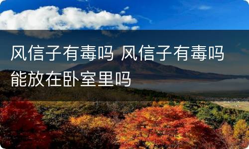 风信子有毒吗 风信子有毒吗 能放在卧室里吗
