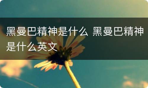 黑曼巴精神是什么 黑曼巴精神是什么英文