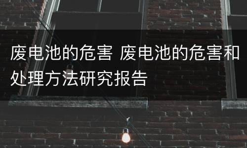 废电池的危害 废电池的危害和处理方法研究报告