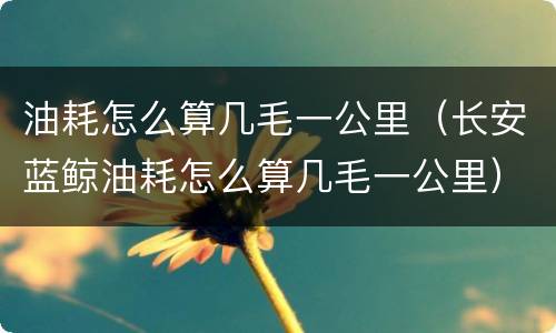 油耗怎么算几毛一公里（长安蓝鲸油耗怎么算几毛一公里）