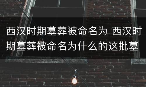 西汉时期墓葬被命名为 西汉时期墓葬被命名为什么的这批墓葬结构宏伟复杂