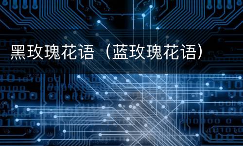 黑玫瑰花语（蓝玫瑰花语）