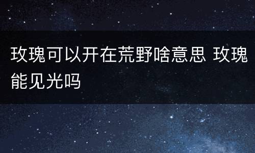 玫瑰可以开在荒野啥意思 玫瑰能见光吗