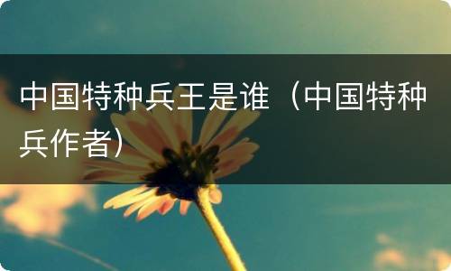 中国特种兵王是谁（中国特种兵作者）