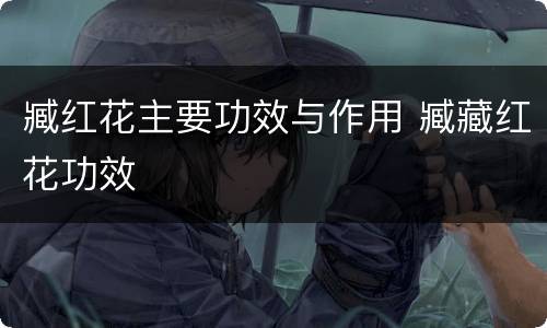 臧红花主要功效与作用 臧藏红花功效