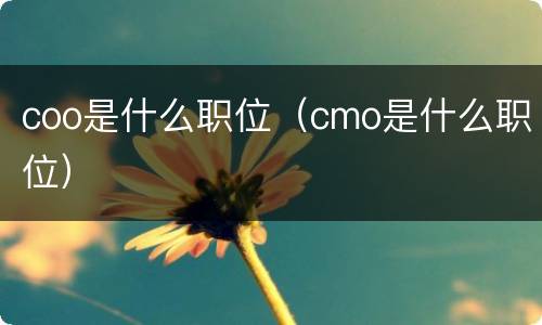 coo是什么职位（cmo是什么职位）
