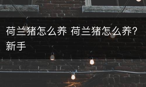 荷兰猪怎么养 荷兰猪怎么养?新手