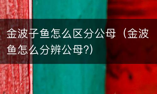金波子鱼怎么区分公母（金波鱼怎么分辨公母?）