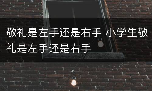 敬礼是左手还是右手 小学生敬礼是左手还是右手