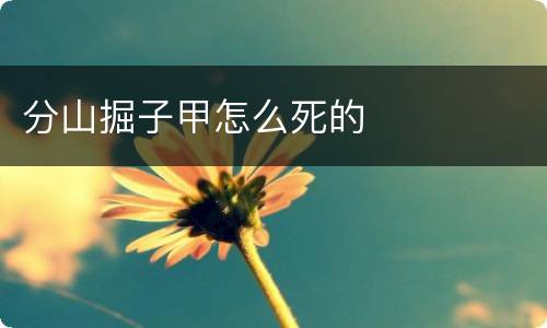 分山掘子甲怎么死的