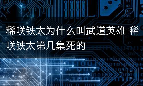 稀咲铁太为什么叫武道英雄 稀咲铁太第几集死的