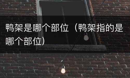 鸭架是哪个部位（鸭架指的是哪个部位）