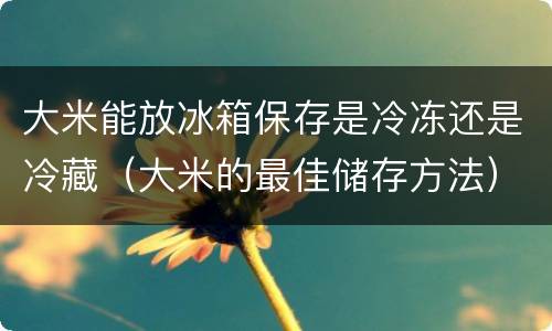 大米能放冰箱保存是冷冻还是冷藏（大米的最佳储存方法）