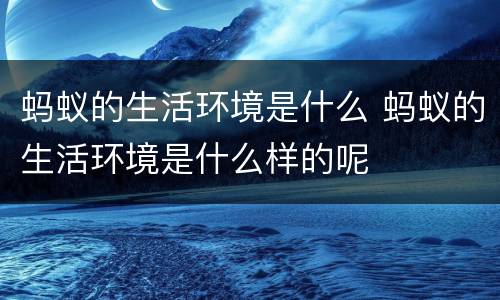 蚂蚁的生活环境是什么 蚂蚁的生活环境是什么样的呢