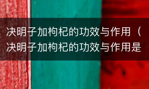 决明子加枸杞的功效与作用（决明子加枸杞的功效与作用是什么）