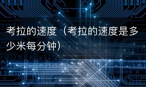 考拉的速度（考拉的速度是多少米每分钟）