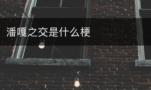 潘嘎之交是什么梗