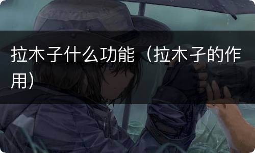 拉木子什么功能（拉木孑的作用）