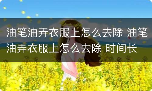 油笔油弄衣服上怎么去除 油笔油弄衣服上怎么去除 时间长