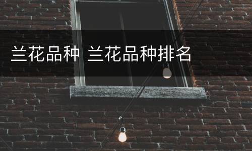 兰花品种 兰花品种排名