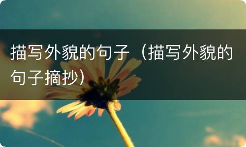 描写外貌的句子（描写外貌的句子摘抄）