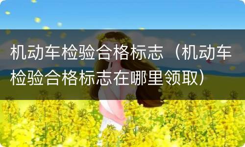 机动车检验合格标志（机动车检验合格标志在哪里领取）