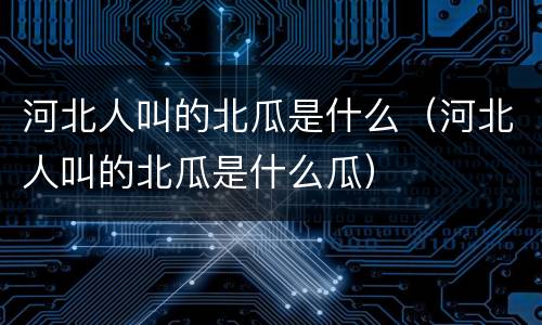 河北人叫的北瓜是什么（河北人叫的北瓜是什么瓜）