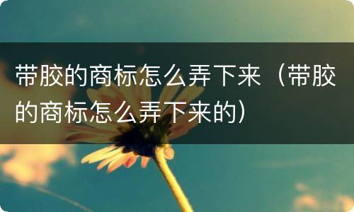 带胶的商标怎么弄下来（带胶的商标怎么弄下来的）