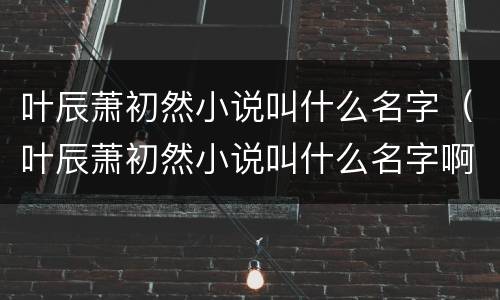 叶辰萧初然小说叫什么名字（叶辰萧初然小说叫什么名字啊）