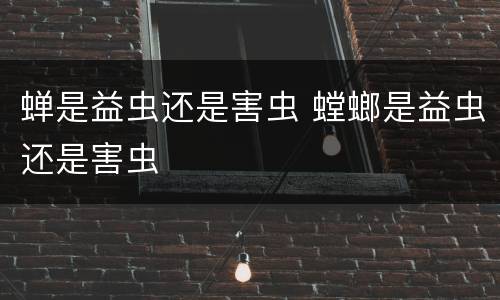 蝉是益虫还是害虫 螳螂是益虫还是害虫