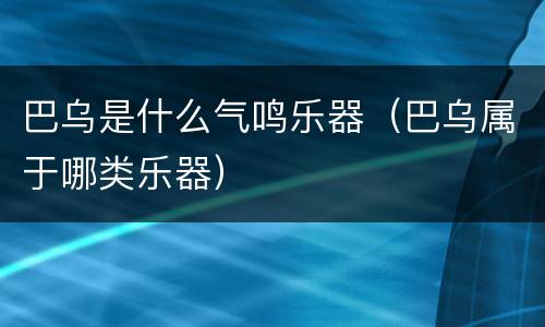 巴乌是什么气鸣乐器（巴乌属于哪类乐器）