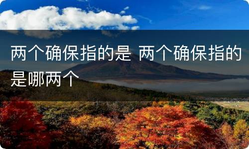 两个确保指的是 两个确保指的是哪两个