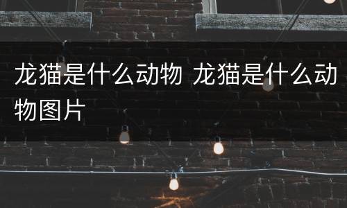 龙猫是什么动物 龙猫是什么动物图片
