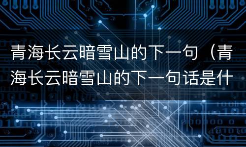 青海长云暗雪山的下一句（青海长云暗雪山的下一句话是什么）