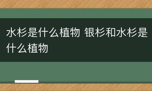 水杉是什么植物 银杉和水杉是什么植物