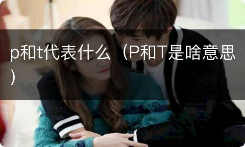 p和t代表什么（P和T是啥意思）