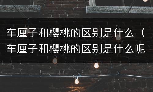 车厘子和樱桃的区别是什么（车厘子和樱桃的区别是什么呢）