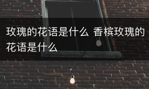 玫瑰的花语是什么 香槟玫瑰的花语是什么