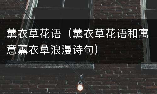 薰衣草花语（薰衣草花语和寓意薰衣草浪漫诗句）