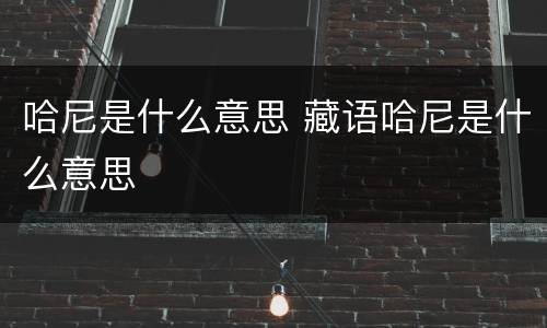 哈尼是什么意思 藏语哈尼是什么意思