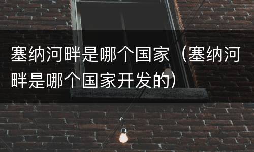 塞纳河畔是哪个国家（塞纳河畔是哪个国家开发的）