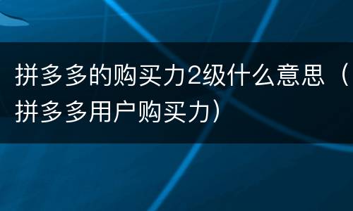 拼多多的购买力2级什么意思（拼多多用户购买力）