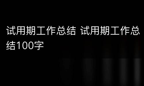 试用期工作总结 试用期工作总结100字