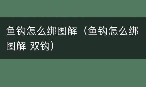 鱼钩怎么绑图解（鱼钩怎么绑图解 双钩）