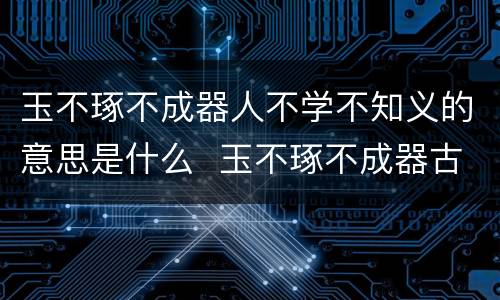玉不琢不成器人不学不知义的意思是什么  玉不琢不成器古文翻译