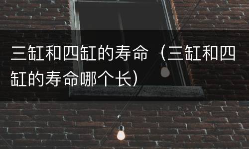三缸和四缸的寿命（三缸和四缸的寿命哪个长）